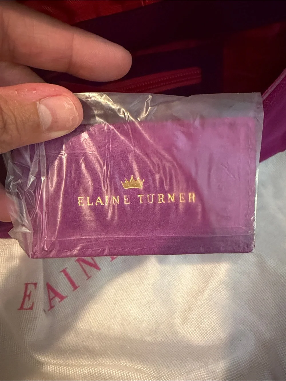 Elaine Turner Daphne Dark Magenta Suede Bow Clutch